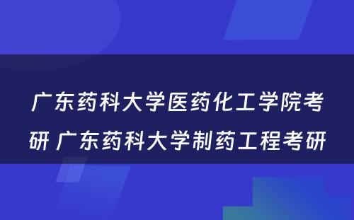 广东药科大学医药化工学院考研 广东药科大学制药工程考研