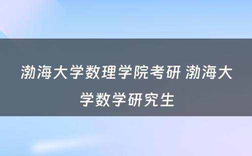 渤海大学数理学院考研 渤海大学数学研究生