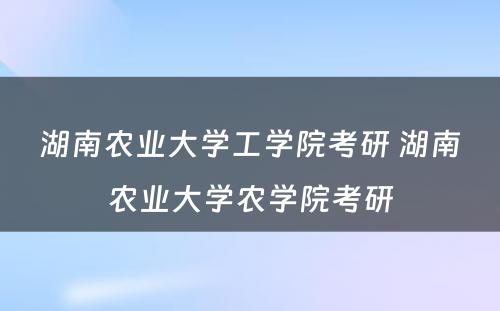 湖南农业大学工学院考研 湖南农业大学农学院考研