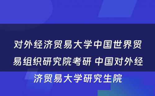 对外经济贸易大学中国世界贸易组织研究院考研 中国对外经济贸易大学研究生院