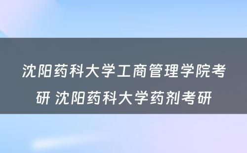 沈阳药科大学工商管理学院考研 沈阳药科大学药剂考研