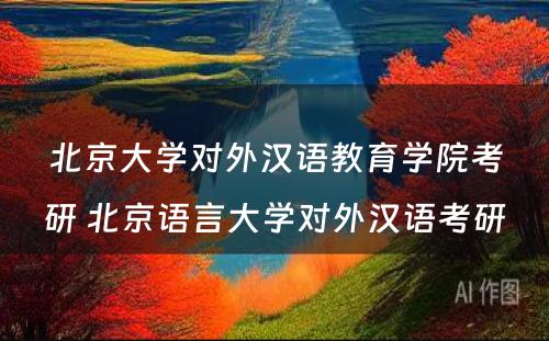 北京大学对外汉语教育学院考研 北京语言大学对外汉语考研