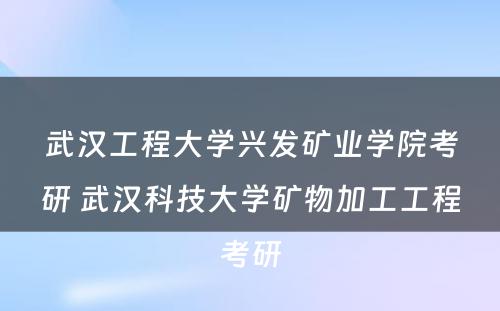 武汉工程大学兴发矿业学院考研 武汉科技大学矿物加工工程考研