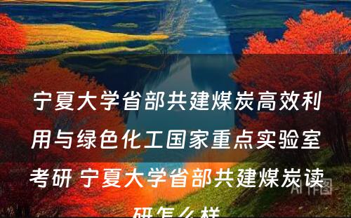 宁夏大学省部共建煤炭高效利用与绿色化工国家重点实验室考研 宁夏大学省部共建煤炭读研怎么样