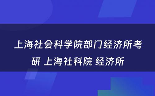 上海社会科学院部门经济所考研 上海社科院 经济所