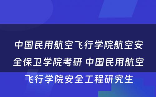 中国民用航空飞行学院航空安全保卫学院考研 中国民用航空飞行学院安全工程研究生