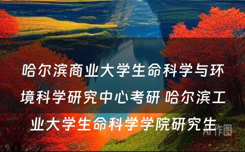 哈尔滨商业大学生命科学与环境科学研究中心考研 哈尔滨工业大学生命科学学院研究生