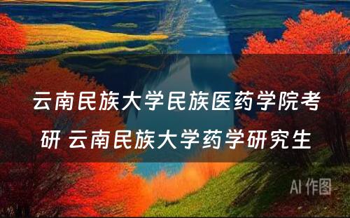 云南民族大学民族医药学院考研 云南民族大学药学研究生