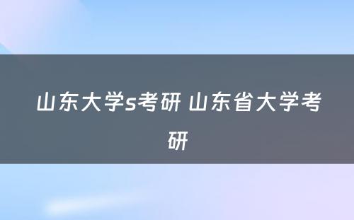 山东大学s考研 山东省大学考研