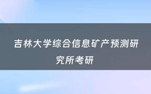 吉林大学综合信息矿产预测研究所考研 