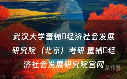 武汉大学董辅礽经济社会发展研究院（北京）考研 董辅礽经济社会发展研究院官网