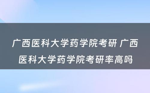 广西医科大学药学院考研 广西医科大学药学院考研率高吗