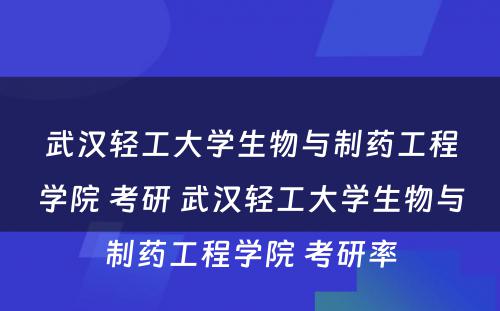 武汉轻工大学生物与制药工程学院 考研 武汉轻工大学生物与制药工程学院 考研率