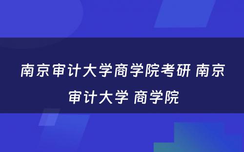 南京审计大学商学院考研 南京审计大学 商学院