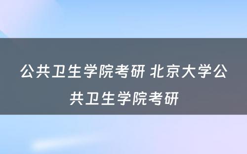 公共卫生学院考研 北京大学公共卫生学院考研