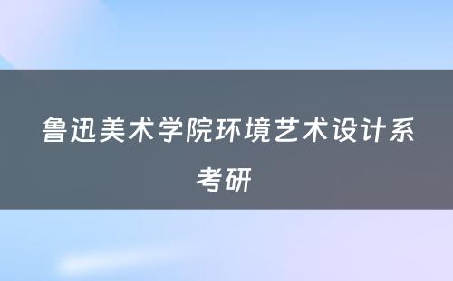 鲁迅美术学院环境艺术设计系考研 