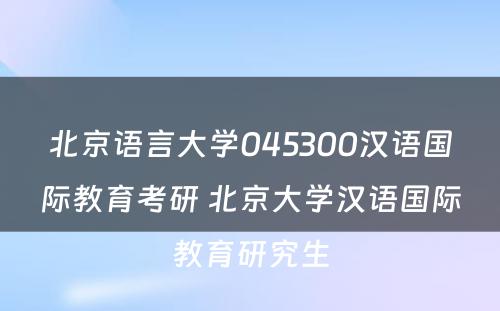 北京语言大学045300汉语国际教育考研 北京大学汉语国际教育研究生