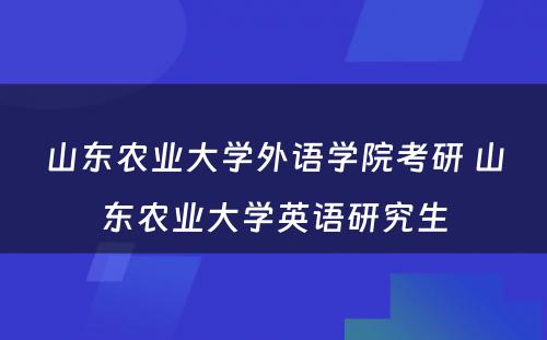 山东农业大学外语学院考研 山东农业大学英语研究生