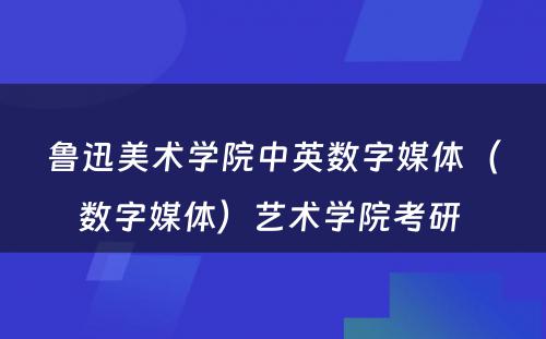 鲁迅美术学院中英数字媒体（数字媒体）艺术学院考研 