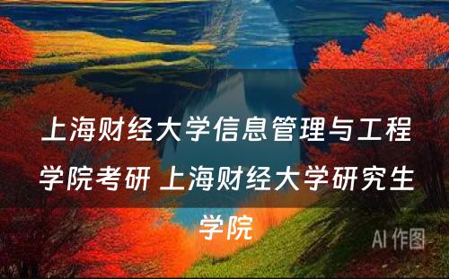 上海财经大学信息管理与工程学院考研 上海财经大学研究生学院