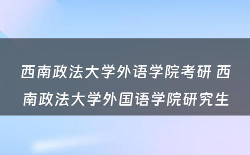 西南政法大学外语学院考研 西南政法大学外国语学院研究生