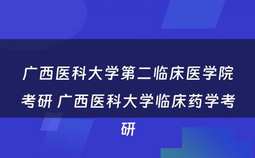 广西医科大学第二临床医学院考研 广西医科大学临床药学考研