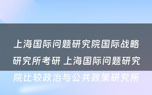 上海国际问题研究院国际战略研究所考研 上海国际问题研究院比较政治与公共政策研究所