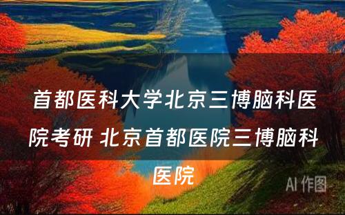 首都医科大学北京三博脑科医院考研 北京首都医院三博脑科医院