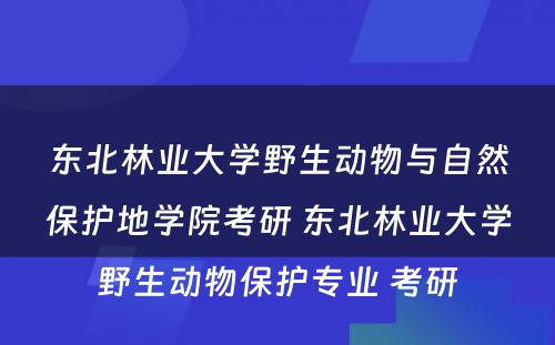 东北林业大学野生动物与自然保护地学院考研 东北林业大学野生动物保护专业 考研