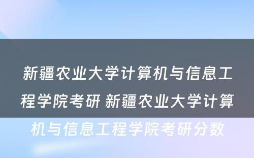 新疆农业大学计算机与信息工程学院考研 新疆农业大学计算机与信息工程学院考研分数