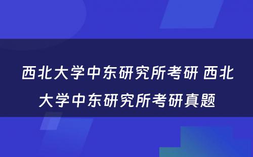 西北大学中东研究所考研 西北大学中东研究所考研真题