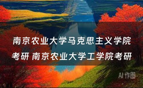 南京农业大学马克思主义学院考研 南京农业大学工学院考研