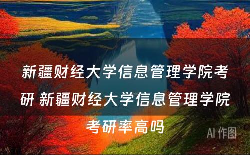 新疆财经大学信息管理学院考研 新疆财经大学信息管理学院考研率高吗