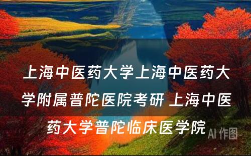 上海中医药大学上海中医药大学附属普陀医院考研 上海中医药大学普陀临床医学院