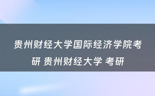 贵州财经大学国际经济学院考研 贵州财经大学 考研