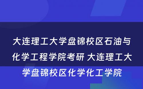 大连理工大学盘锦校区石油与化学工程学院考研 大连理工大学盘锦校区化学化工学院