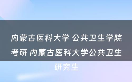 内蒙古医科大学 公共卫生学院考研 内蒙古医科大学公共卫生研究生