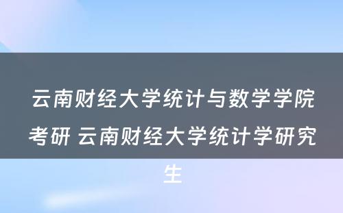 云南财经大学统计与数学学院考研 云南财经大学统计学研究生