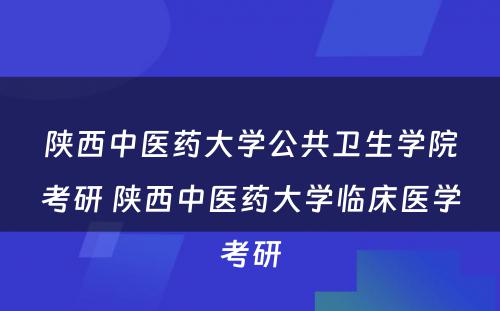 陕西中医药大学公共卫生学院考研 陕西中医药大学临床医学考研