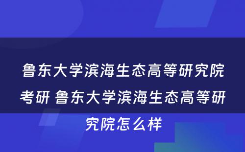 鲁东大学滨海生态高等研究院考研 鲁东大学滨海生态高等研究院怎么样