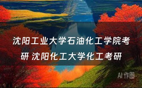 沈阳工业大学石油化工学院考研 沈阳化工大学化工考研