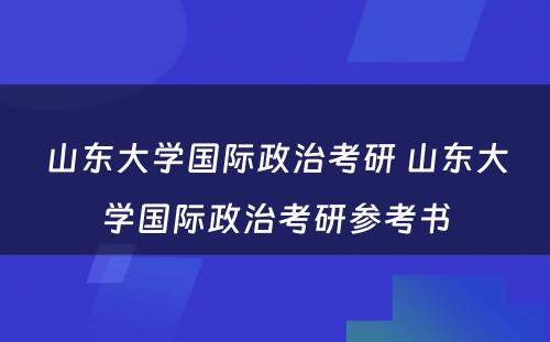 山东大学国际政治考研 山东大学国际政治考研参考书