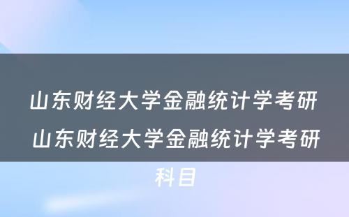 山东财经大学金融统计学考研 山东财经大学金融统计学考研科目