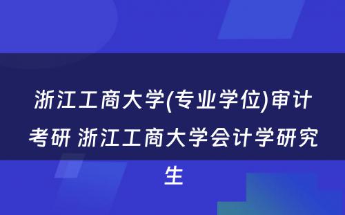 浙江工商大学(专业学位)审计考研 浙江工商大学会计学研究生