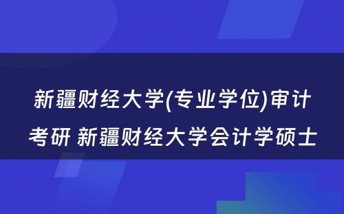 新疆财经大学(专业学位)审计考研 新疆财经大学会计学硕士