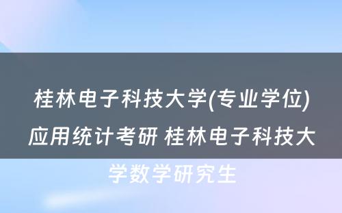 桂林电子科技大学(专业学位)应用统计考研 桂林电子科技大学数学研究生