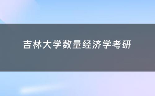 吉林大学数量经济学考研 