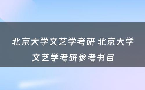 北京大学文艺学考研 北京大学文艺学考研参考书目