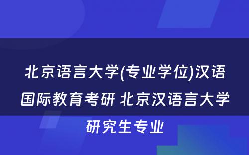 北京语言大学(专业学位)汉语国际教育考研 北京汉语言大学研究生专业