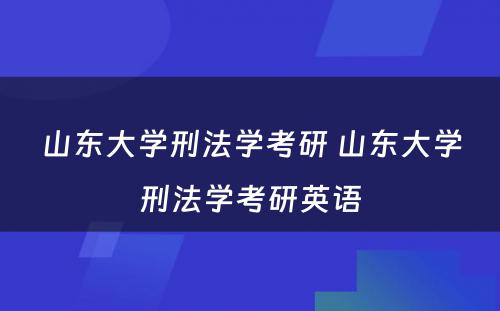 山东大学刑法学考研 山东大学刑法学考研英语